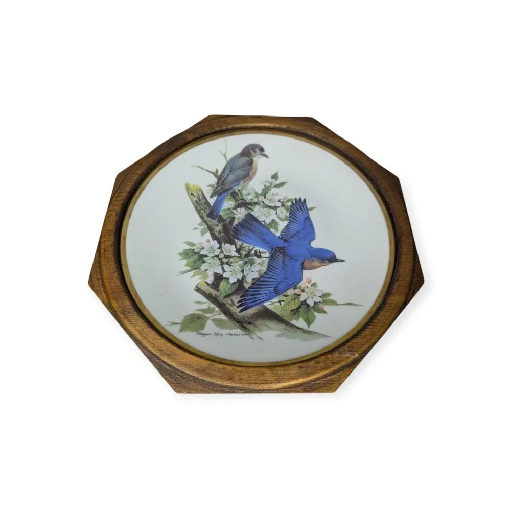 Vintage Roger Tory Peterson Flickers & Bluebird Ceramic Plates Framed 24 kt Gold